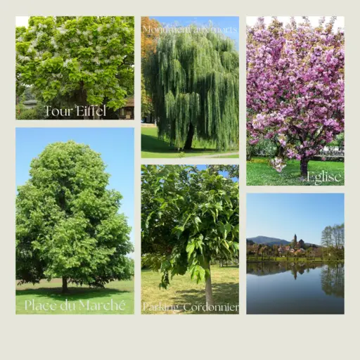 Publication Instagram Grille Photo Collage de Nature en Vert et Beige