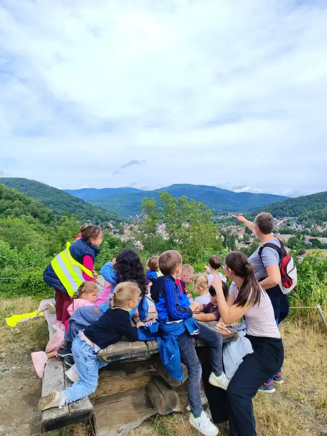 Sortie nature: A la découverte de notre environnement proche