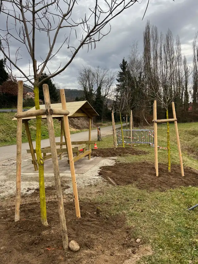 Plantation des arbres 24 février