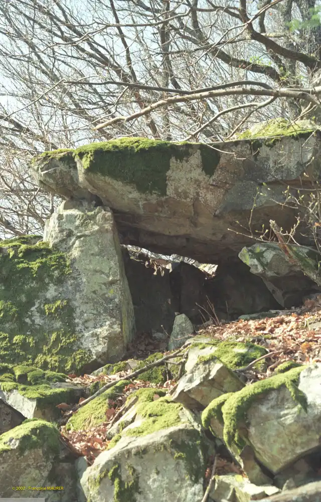 Site mégalithique du Demberg