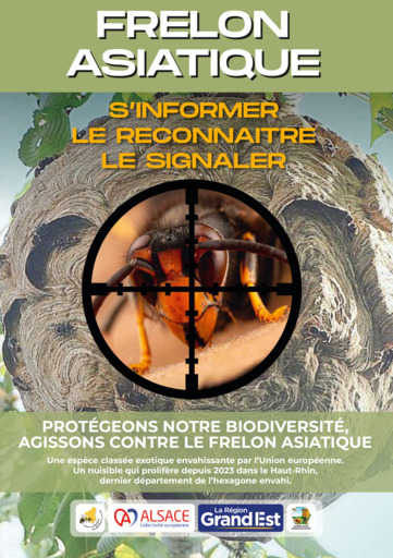 Vous l'avez vu ? Signalez -le