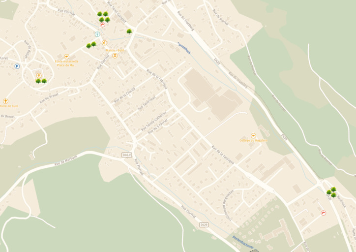 Où ont été plantés les arbres ?