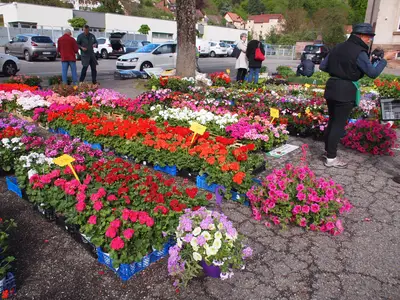 Marché aux Fleurs 2019