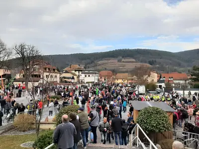 Cavalcade