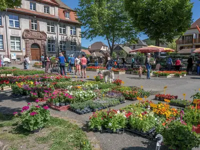 Remise Prix Fleurissement Florival Edition 2021