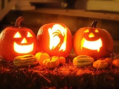 Citrouilles en Folie