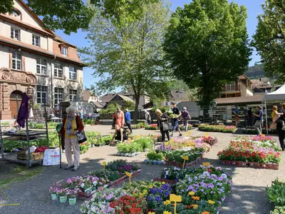 Marche aux fleurs