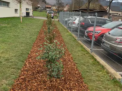 AMENAGEMENT PAYSAGER PERISCOLAIRE FEVRIER