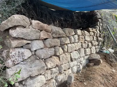 REPRISE DES MURS DANS LE VIGNOBLE FEVRIER