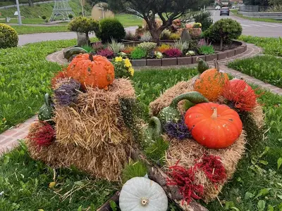 Décors Automnale