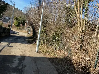 Rue du Demberg : Débroussaillage - Désherbage - balayage + refermer les nids de poule avec l'enrobé à froid février