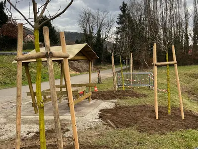 Plantation de 12 arbres par mécénat février