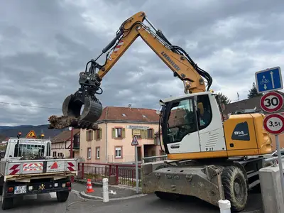 Enlèvement des arbres encombrants dans la Lauch