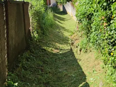 Débroussaillage mai